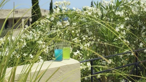 Two colorful drinks on a wall among lush greenery and white flowers Stock Footage 328675709