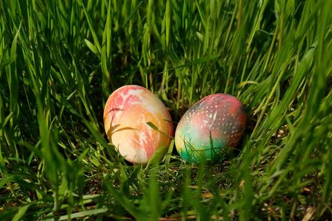 Two colorful Easter eggs in green grass outdoors Foto stock