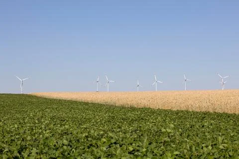 Two colorful fields with wind turbines behind Stock Photos
