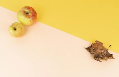Two-colour background with apples and leaves. Autumn background in pink and.. Stock Photos