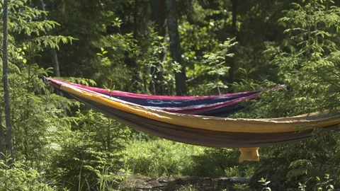 Two colourful hammocks in the forest Stock Footage 90549521