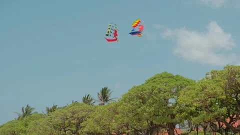 Two colourful kites above beach trees , Nusa Dua, Bali Stock Footage 336515298