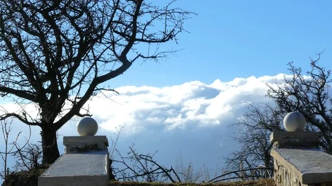 Two columns leading to a tree standing against sky 스톡 동영상 123584515