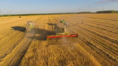 Two combine and the tractor are doing work harvesting in a wheat field. Vídeos de archivo 83087476