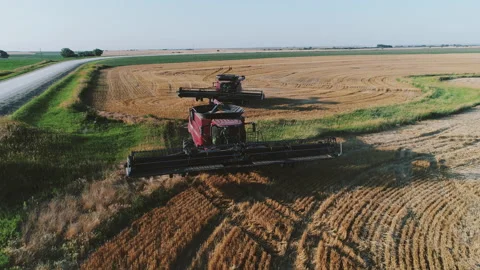 Two combine harvesters move through a field Vídeo Stock 145499907