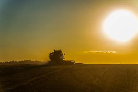 Two combine harvesters work across a vast farm field Fotos Stock