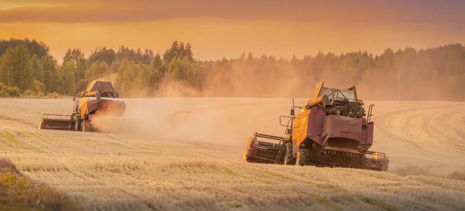Two combine harvesters work simultaneously across a large agricultural fiel.. Stock-Fotos