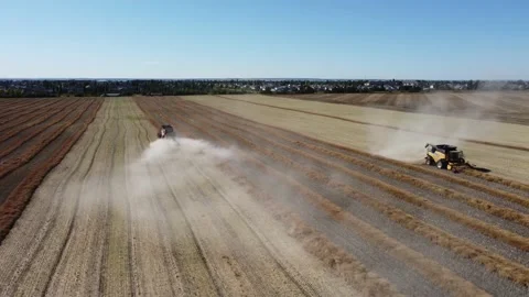 Two combine harvesting a field Video stock 163369399