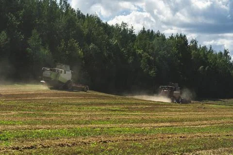 Two combines are working in the field, harvesting crops. Combines collect gra Stock Photos