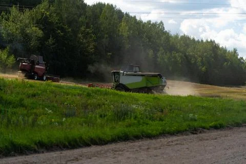 Two combines are working in the field, harvesting crops. Combines collect gra Stock Photos