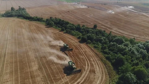 The two combines finish the job Stock Footage 81946854