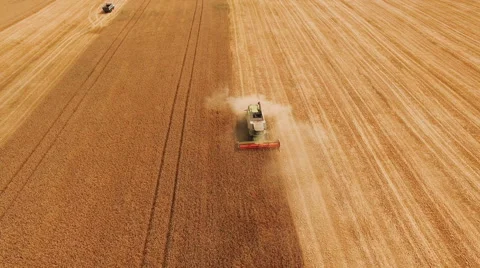 Two combines harvesting wheat field, aerial view. 4k Video stock 65420778