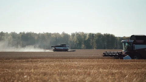 Two combines harvests reaping wheat on golden field 库存影片 98126803