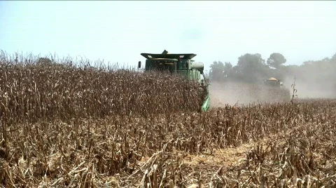 Two combines on one row Видео 515047