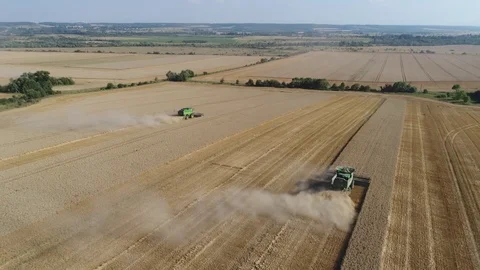 Two combines work on a sunny day in the field Stock Footage 82013525