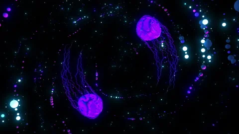 Two comets Stock Footage 241262603