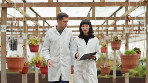 Two commercial garden workers talking in greenhouse Stock Footage 142408285