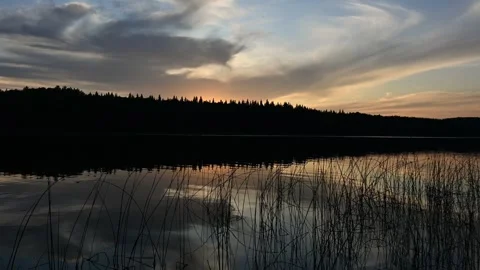 Two common loons swimming in the early morning fog and then flying away Stock Footage 315078349