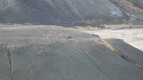Two Common Ravens Interacting in Flight over Kangerlussuaq, Greenland Video stock 345663892