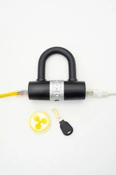 Two computer network cables going through a lock with a key and a crypto Stock-Fotos