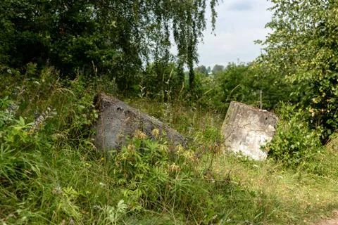 Two concrete blocks lying in the forest Foto stock