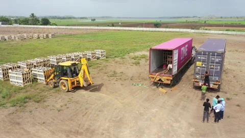Two container from unloading many boxes of solar panels in solar farm. Stock Footage 314369834