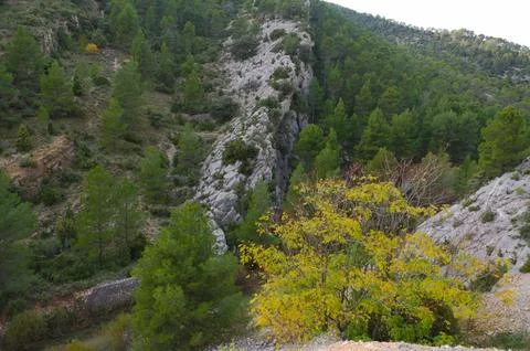 Two converging mountains covered with vegetation Stock Photos