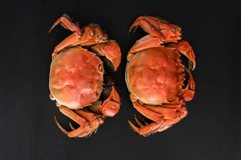 Two cooked red crabs on black background Stock Photos