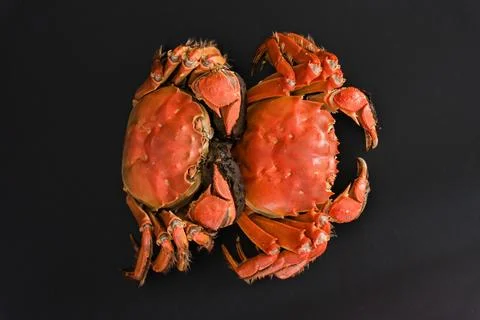 Two cooked red crabs on black background Stock Photos