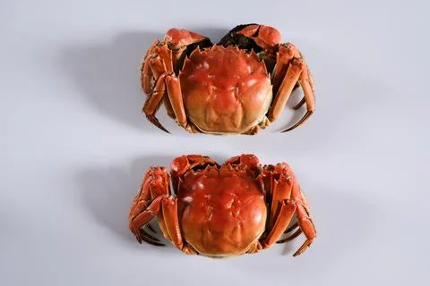 Two cooked red crabs on white background Stock Photos