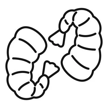 Two cooked shrimps with tails facing each other line drawing Illustrazione stock