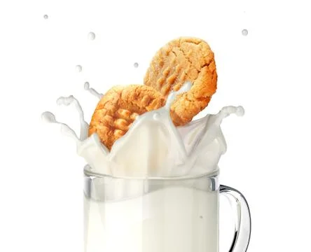 Two cookies biscuits falling into a glass mug full of fresh milk, splashing. Stock Illustration