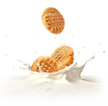 Two cookies biscuits falling into milk splashing. Stock Illustration
