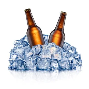 Two cooling beer bottles Stock Photos