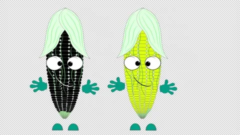 Two corn. Cartoon animation on a transparent background. 스톡 동영상 158274567