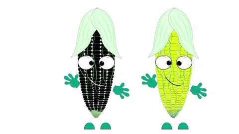 Two corn. Cartoon animation on a white background. Stock Footage 158274547