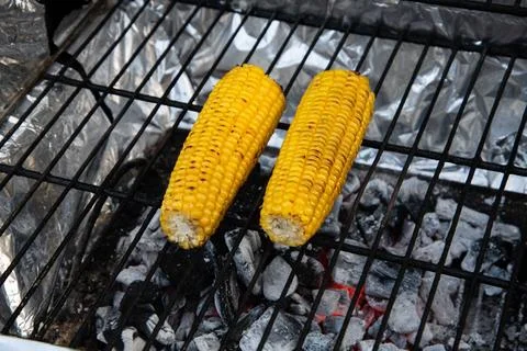 Two corn on the cob grilling on a barbecue Stock Photos