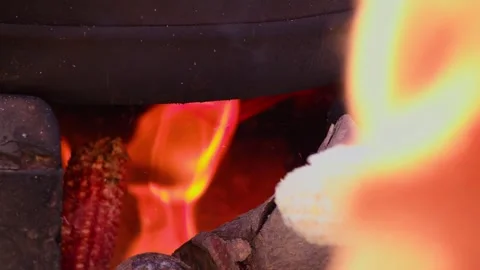 Two Corn Cobs Roasting Over Intense Campfire Flames Vídeos de archivo 334709001