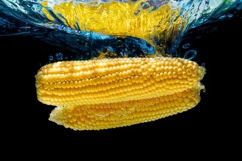 Two Corn Cobs Sinking Underwater with Swirls and Bubbles Stock-Fotos