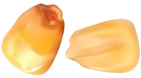 Two Corn Kernels Stock Illustration