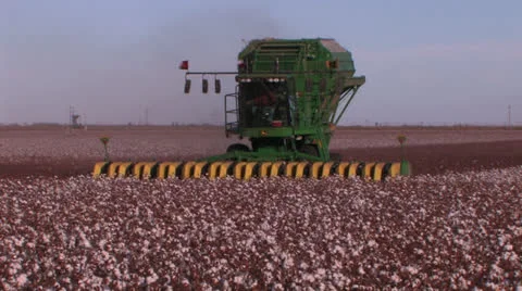 Two cotton strippers in field Stock Footage 27157016