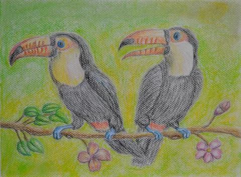 Two Couple Toucans Stock Illustration