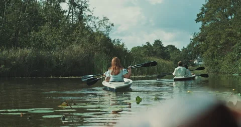 Two couples canoing in nature back view Stock Footage 221317217