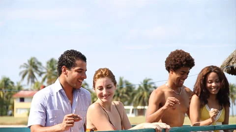 Two couples dancing on pier Stock Footage 38760752
