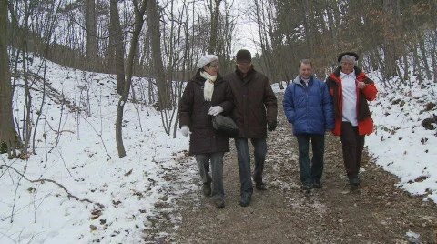 Two couples passing camera in winter wood Stock Footage 288584