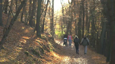 Two couples walking in the background of the scene, fall season Stock Footage 56633987
