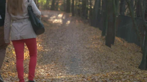 Two couples walking in the forest, enjoying the fall season Stock Footage 56632976