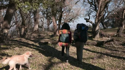 Two couples walking into woods with camping bags Stock Footage 194375773