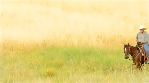 Two cowboys ride through the frame in  a field of tall grass Stock Footage 52372494