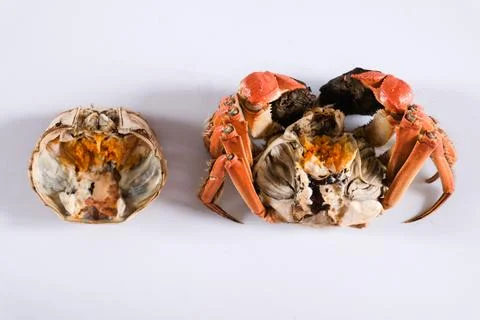 Two crab shells isolated on white Stock Photos